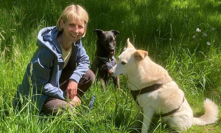 Anke und ihre Hunde